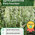 Щучка дернистая Pixie Fountain