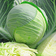 Капуста Белокочанная Килатон F1